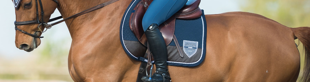 Euro-Star fly cap and saddle cloth