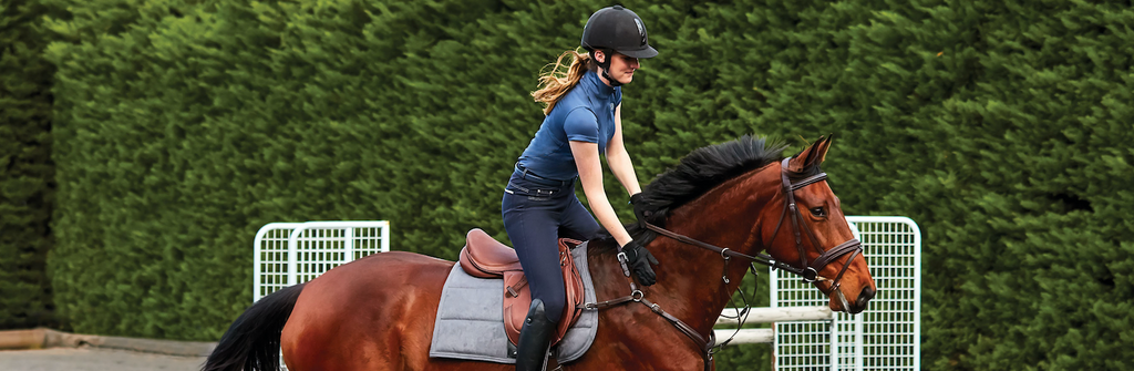 Rider using a Collegiate saddle on the horse