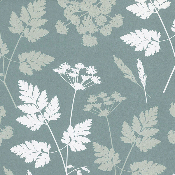 Cow Parsley Wallpaper By Meg Morton - Teal