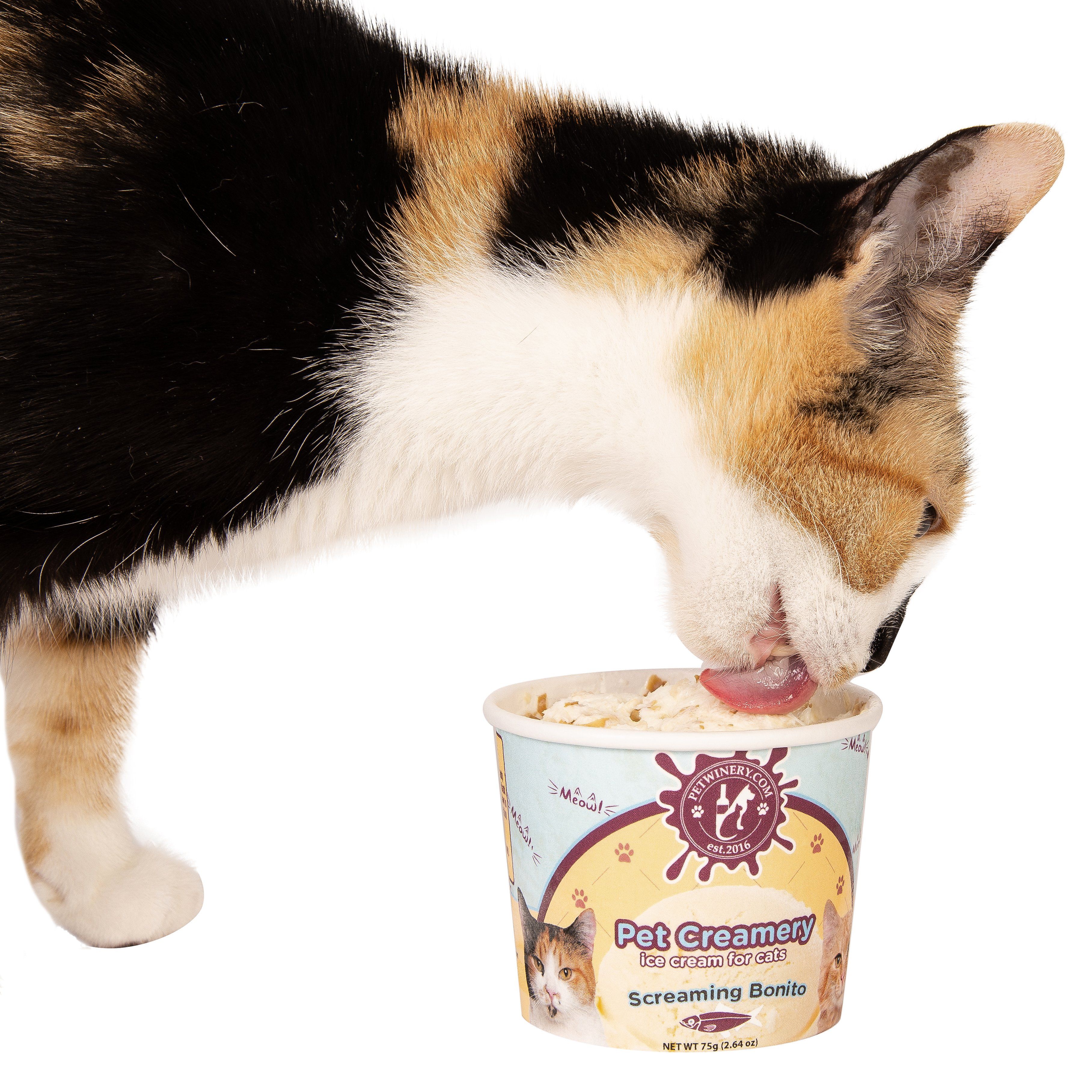 Cat Ice Cream - Screaming Bonito – Pet Winery