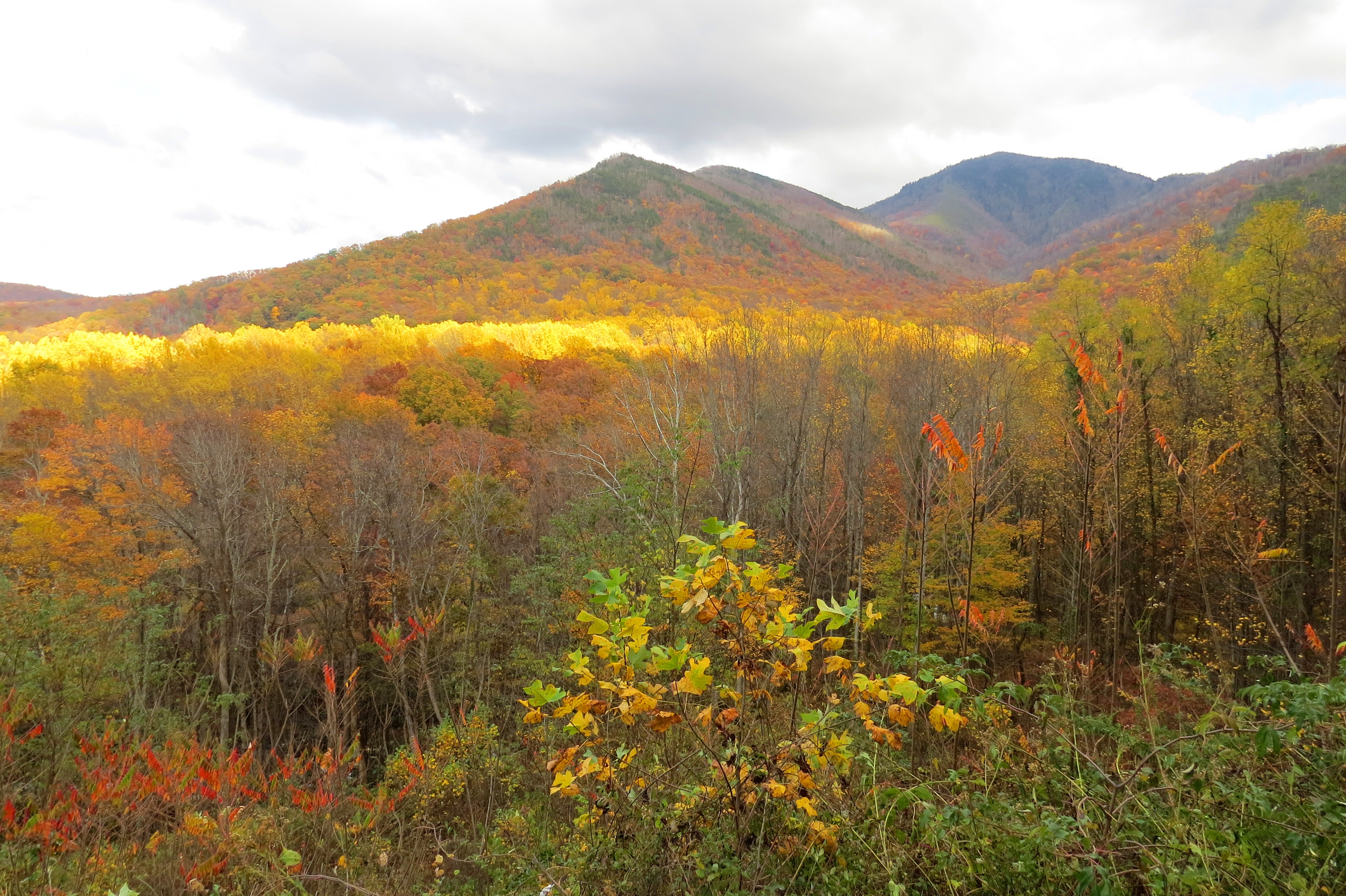 How Best to Enjoy Fall Colors at Great Smoky Mountains National Park
