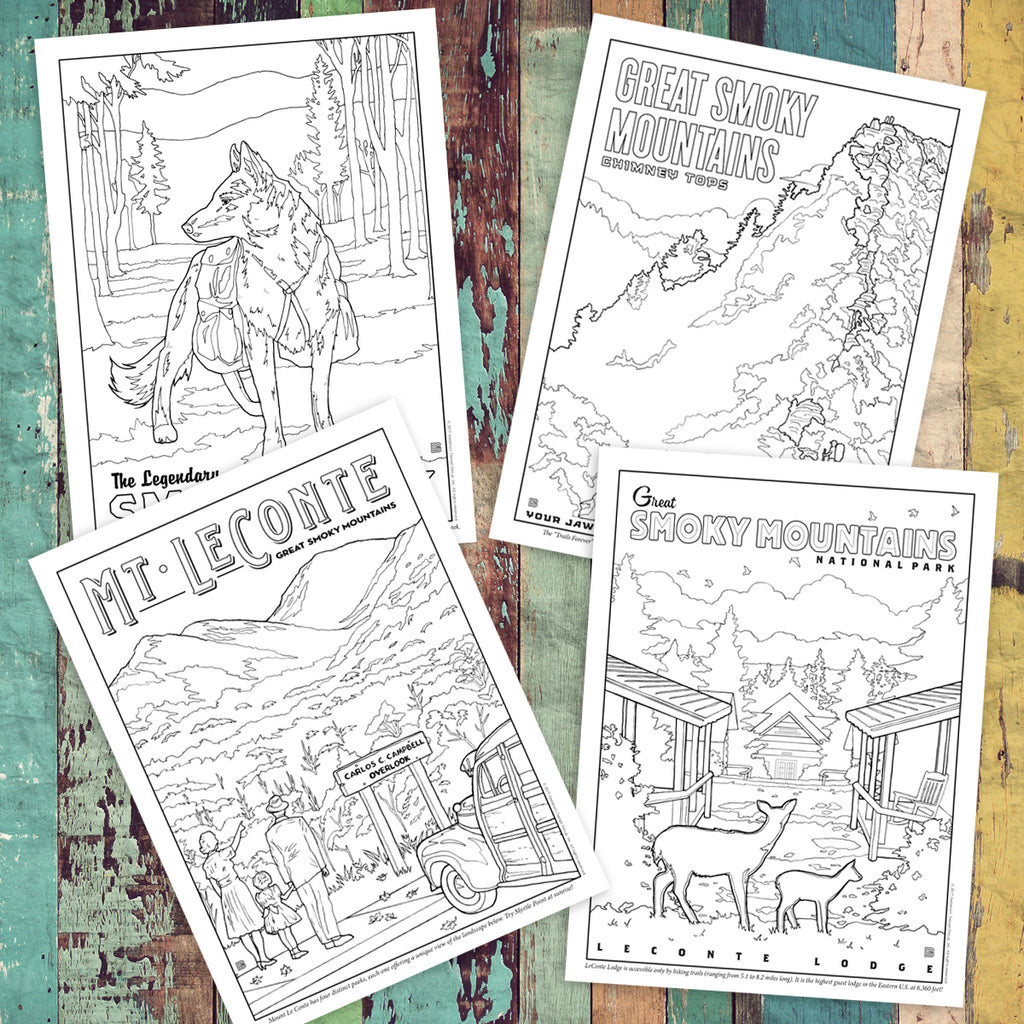 Download Great Smoky Mountains National Park Coloring Book