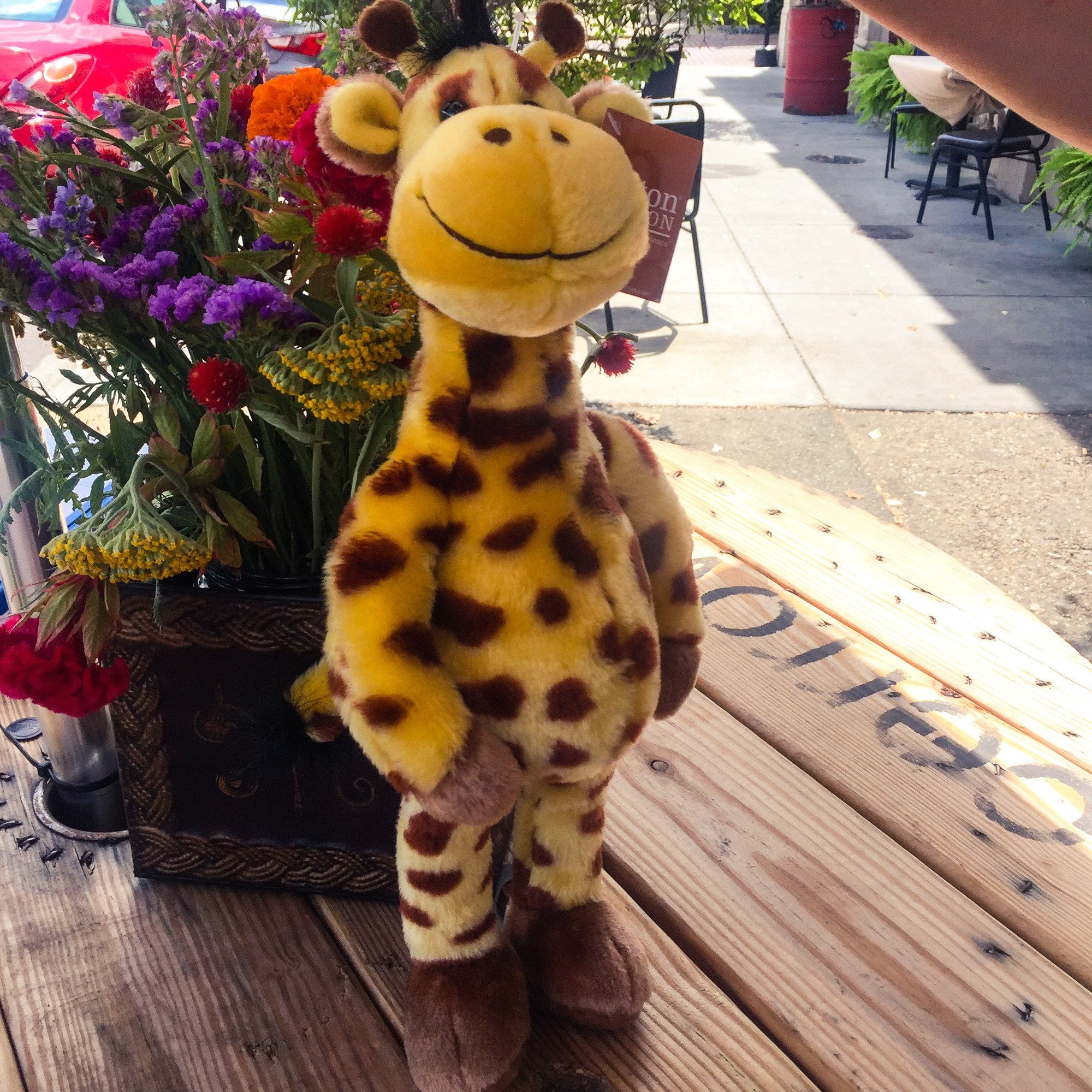 walking giraffe toy