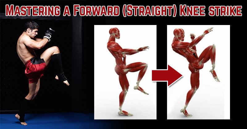 Mastering a Forward (Straight) Knee strike — ElasticSteel