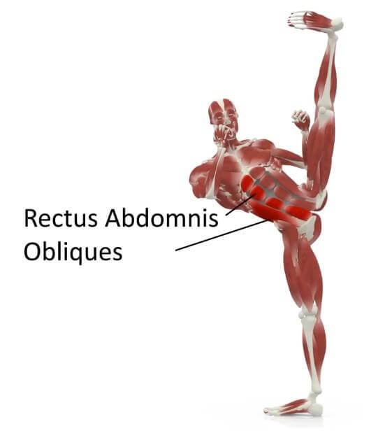 elasticsteel kicking side kick paul zaichik muscles rectus abdominis obliques torso