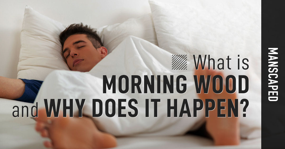 What Is Morning Wood And Why Does It Happen Manscaped 6086