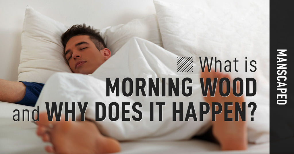 What Is Morning Wood and Why Does It Happen? | Manscaped.com – MANSCAPED