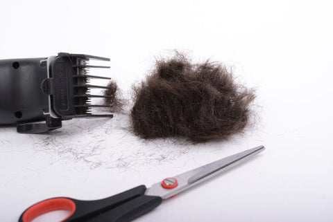 Hair Clippings Next To A Trimmer And Scissors