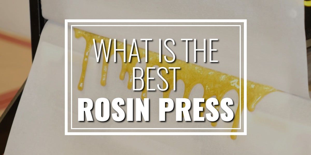 Best Rosin Press 2021 What is The Best Rosin Press to Buy in 2020? A Review & Comparison 