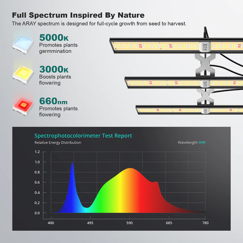 Spectrum