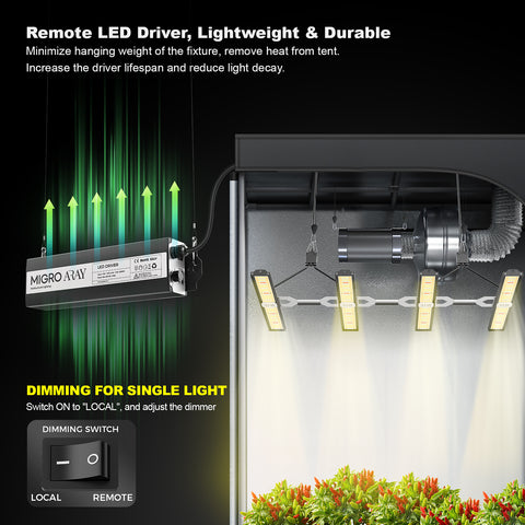 Industry Standard LEDs