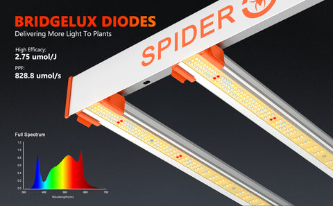 ADVANCED FULL SPECTRUM WITH UV & IR LIGHT