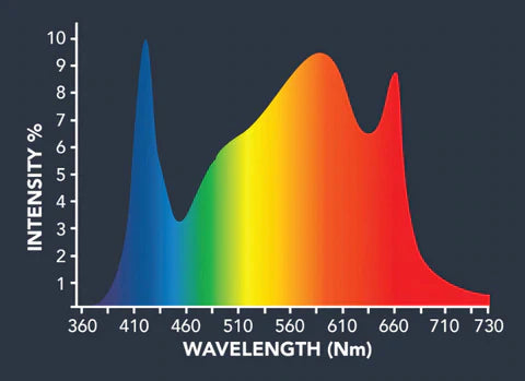  Grower's Choice ROI-E900 Spectrum Analysis