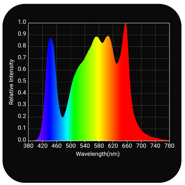 Spectrum