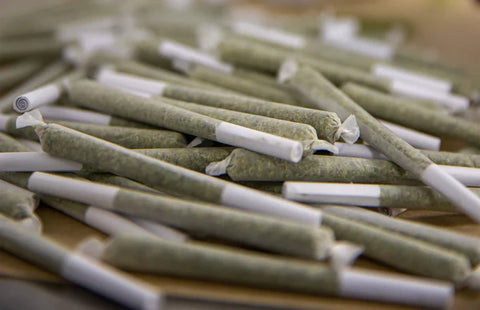 JOINTS, BLUNTS, AND SPLIFFS: EXPLORING THE WORLD OF CANNABIS ROLLS