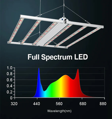 Full Spectrum for Full Cycle Growing