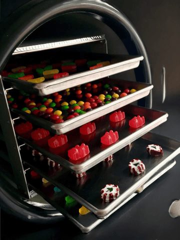 Freeze Dryer for Candy