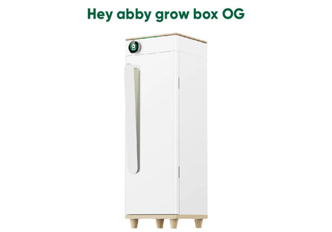 Hey abby grow box OG