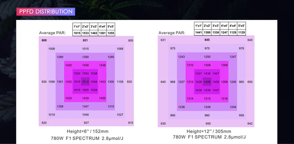 PPFD Distribution