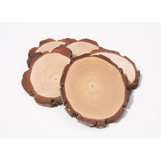 Pack of 5-12 Inch Wood Round, Wood Slices 12 Inch Diameter, Wood
