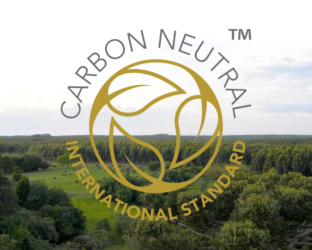 We’re Officially Carbon Neutral!