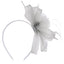 Fascinator Headband - JEW39017 / 325 409 image 0