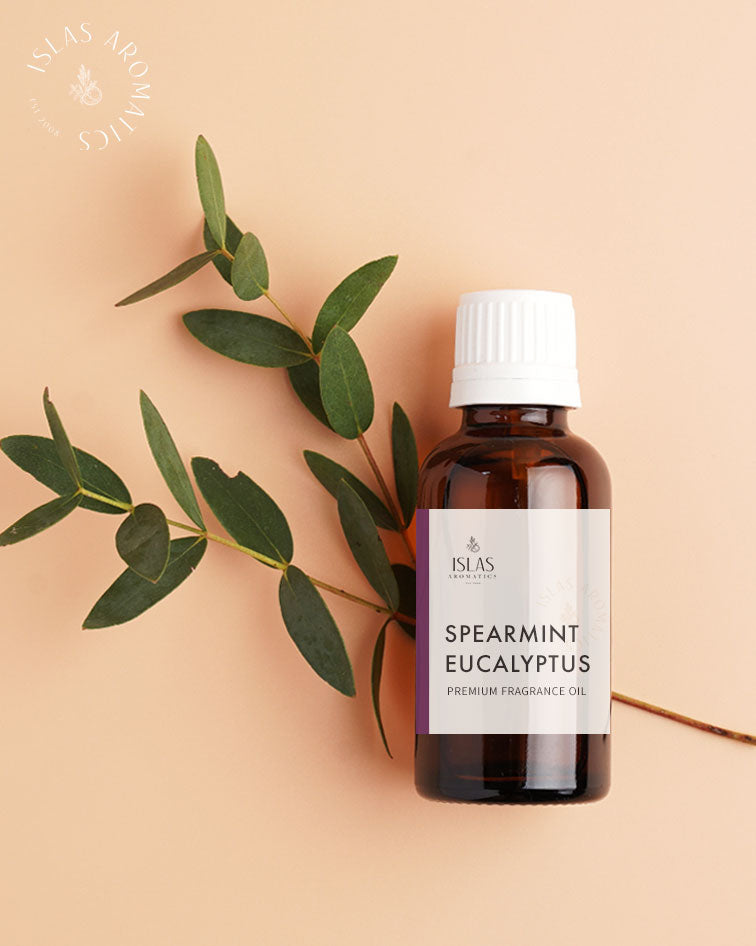 Spearmint Eucalyptus FO-image-0