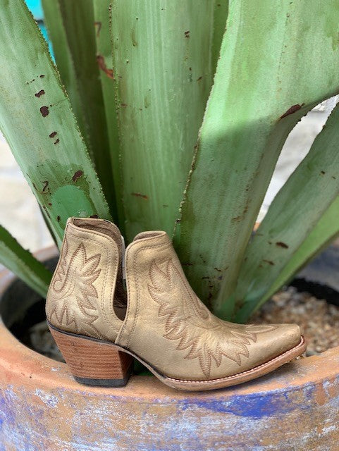 ariat dixon gold