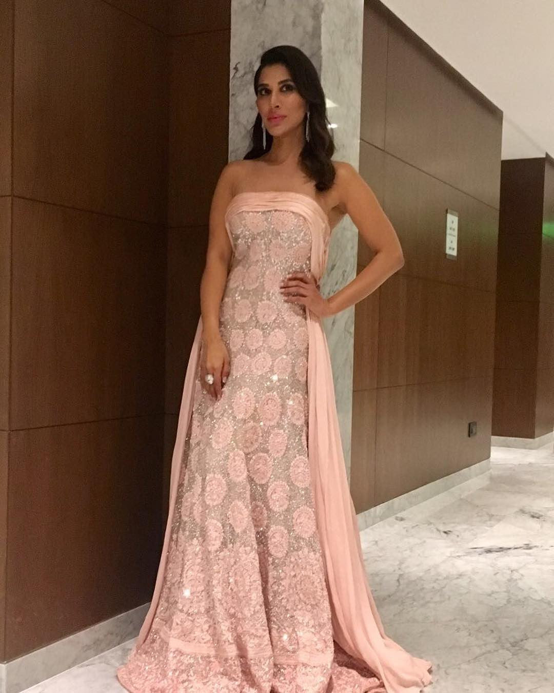 Sophie Choudry Looked Attractive In Manish Malhotra’s Designer Gown