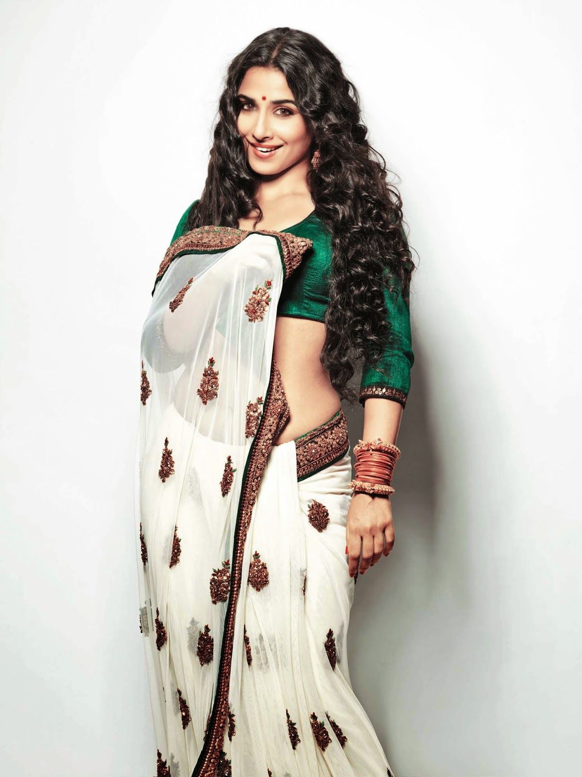 vidya-balan-in-saree