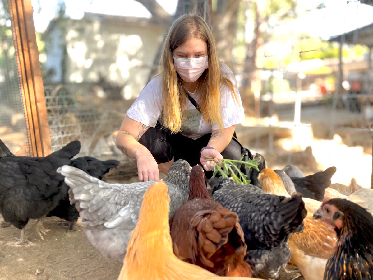 Ashley playing with the chickens