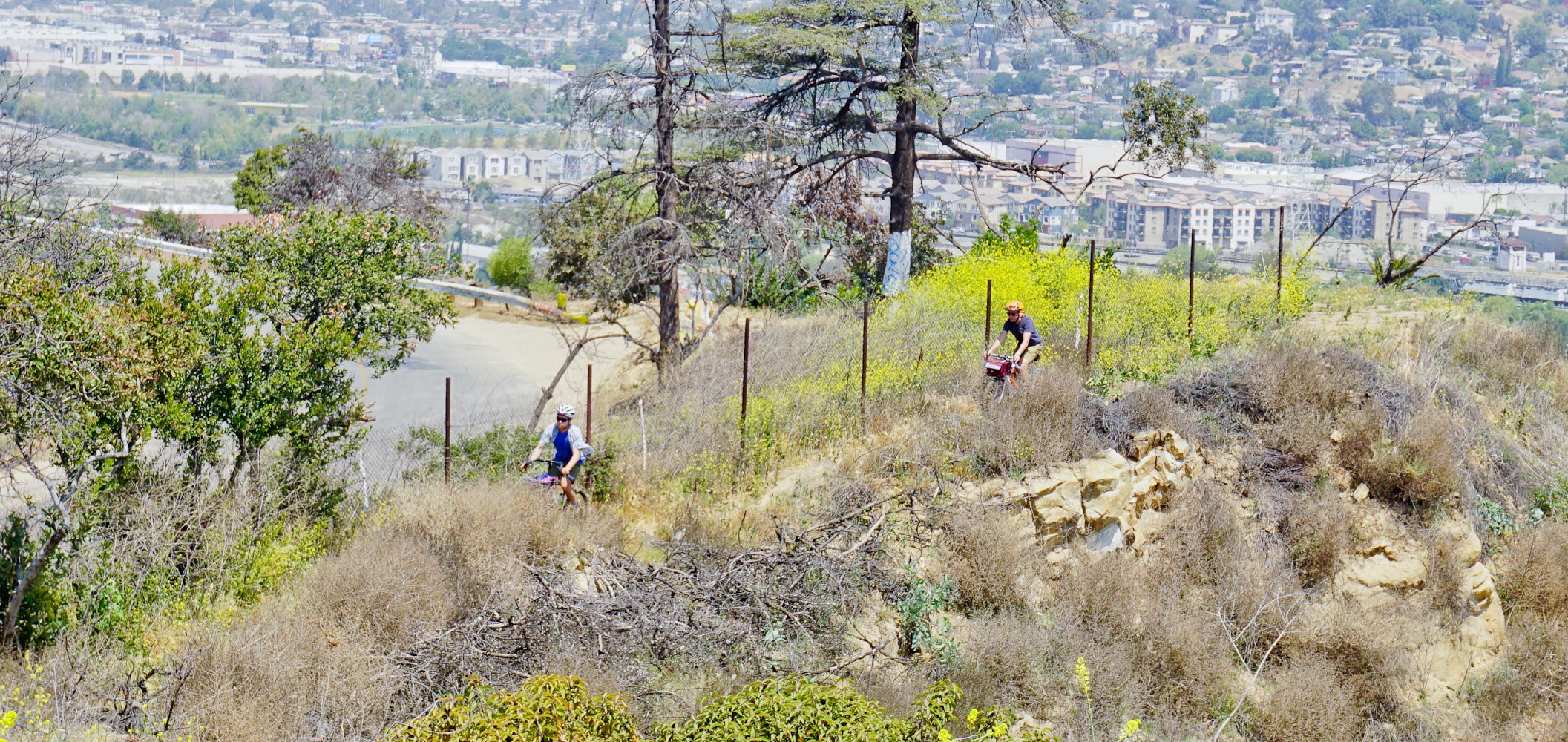 Elysian park bike trails