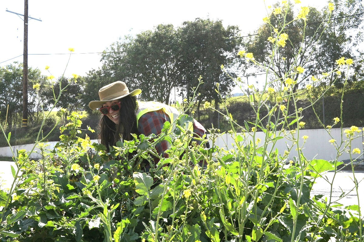 Danielle of People Powered Media clearing some overgrown brush