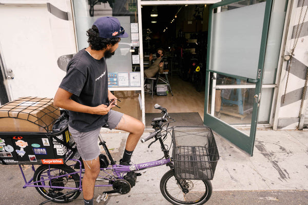 Road Runner Bags Cargo Delivery ebike