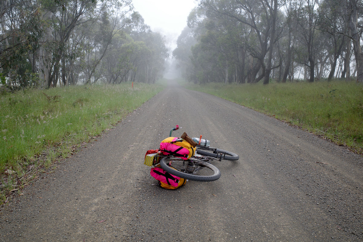 A gravel road deep in the Australian Outback with a loaded bikepacking bike in the middle of the way. The eucalyptus trees lining the banks swallow the road as you veer into the distance, filled with unknown amounts of fog.