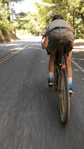 Road Runner Bags Bike Packing and Bike Touring Bags being tested to the limits in the Redwood forest