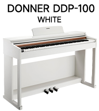 DDP-100