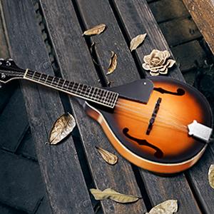 Donner DML-100B A Style Mandolin Instrument Sunburst Mahogany With Tun –  Donner music-AU