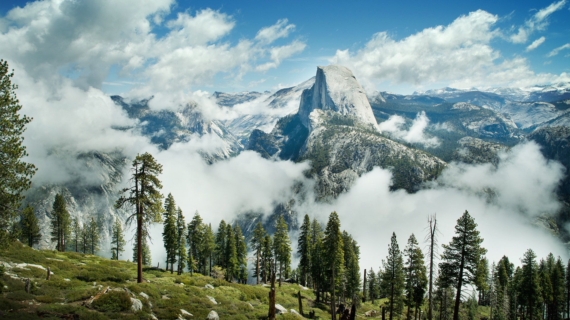 Yosemite National Park