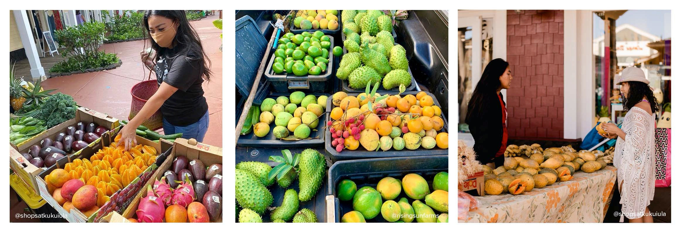 kauai farmers market