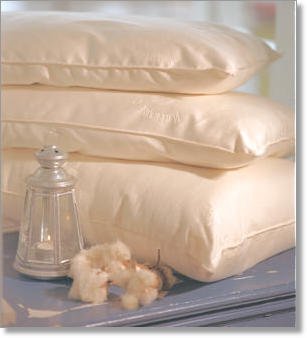 organic cotton pillows