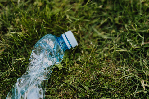 Plastic water bottle sits on patch of green grass