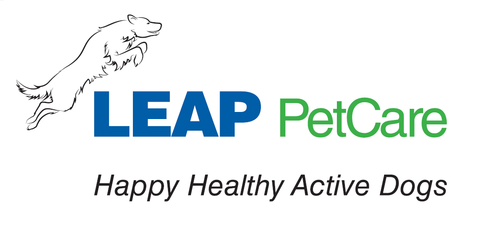 LEAP Logo & Tagline