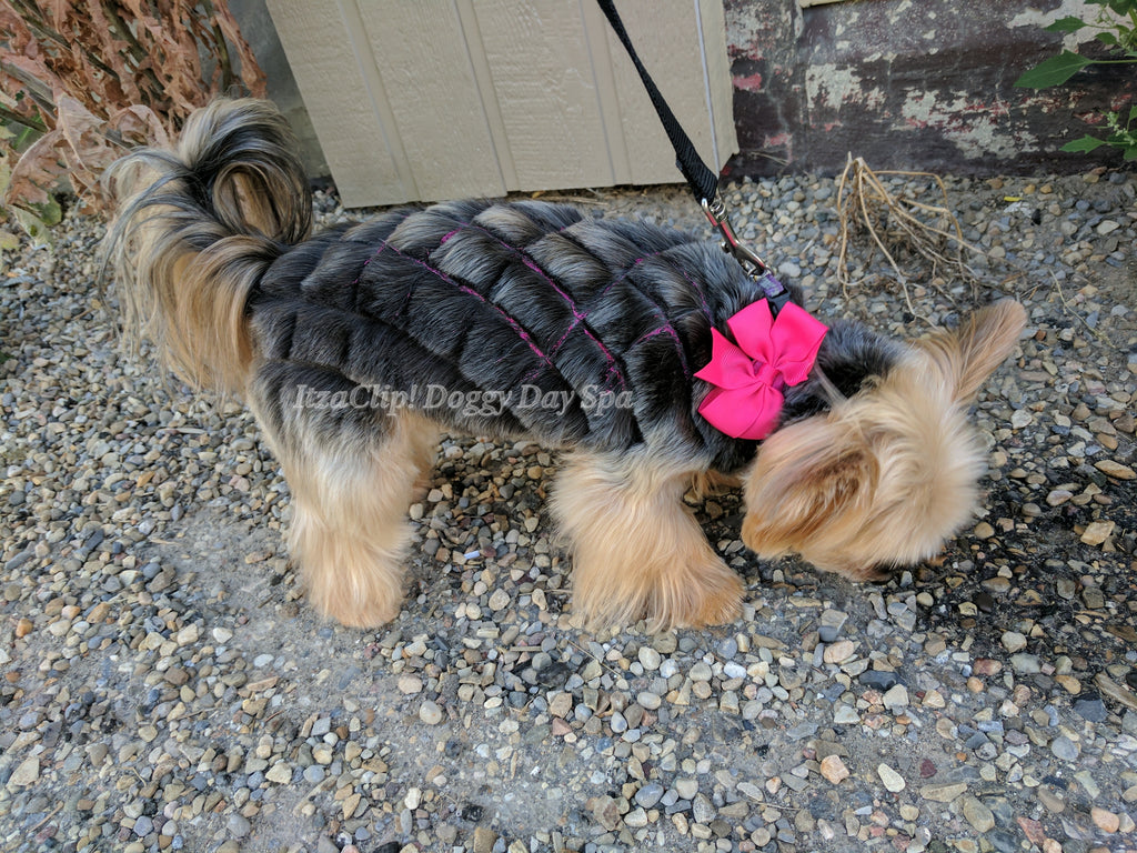 yorkie grooming