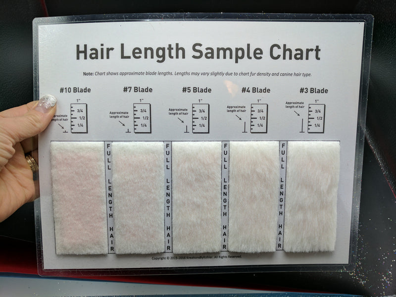 dog clipper blade sizes chart in inches
