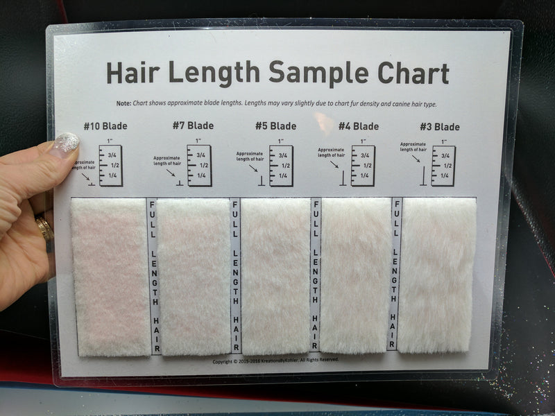 dog clipper blade sizes chart