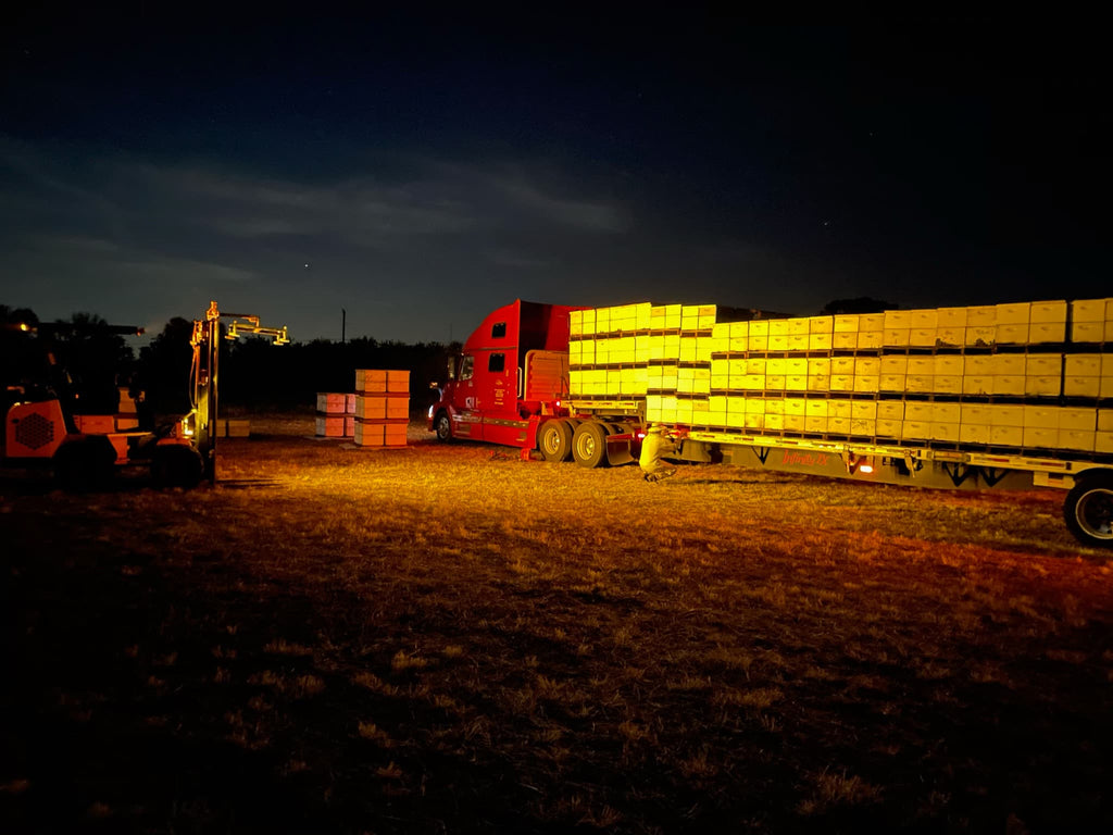 truck moving bees at night