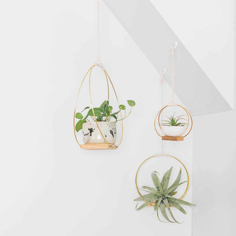 diy hanging shelf