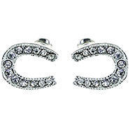 Horseshoe Earrings