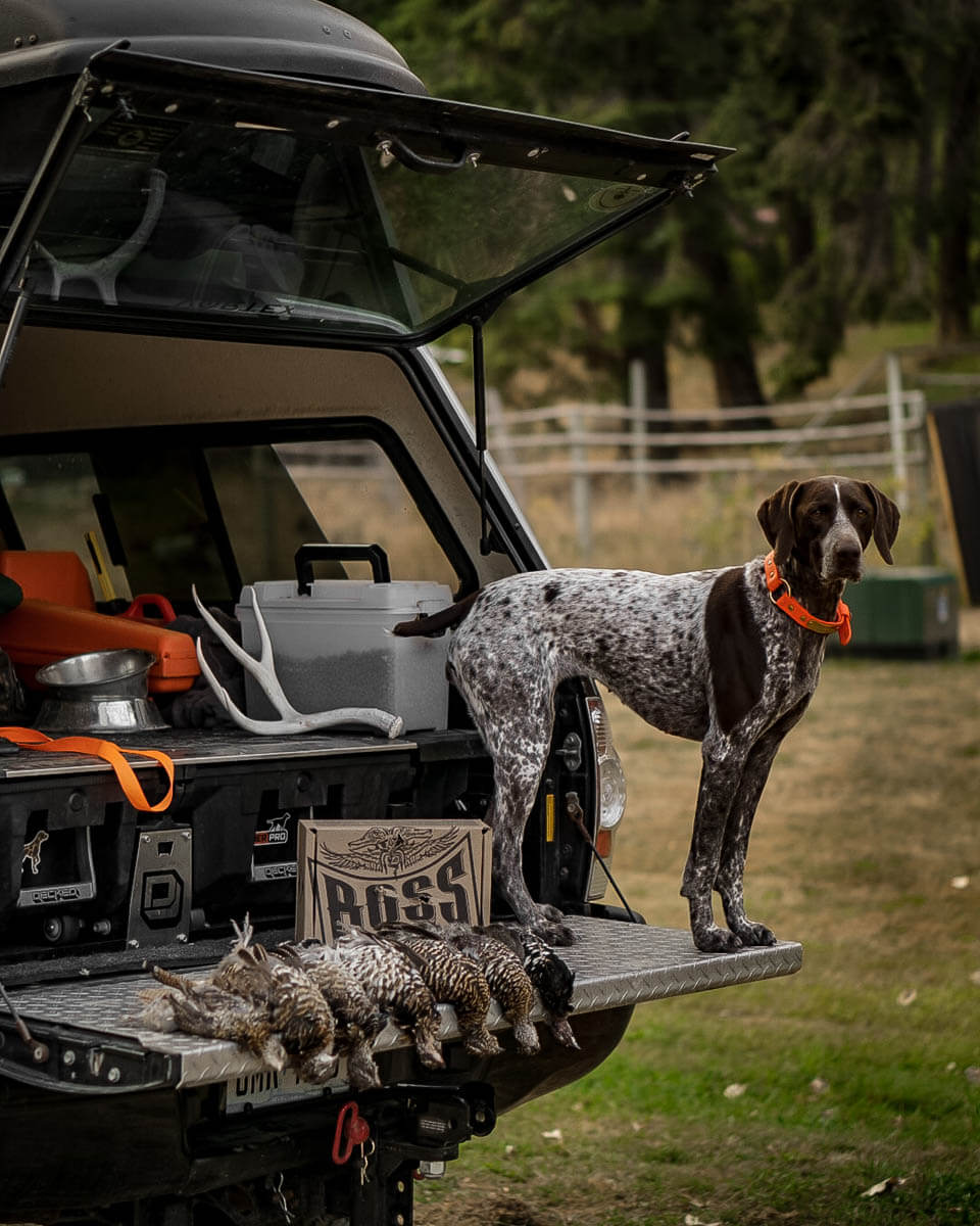 How to Build the Best Truck Gun Rack